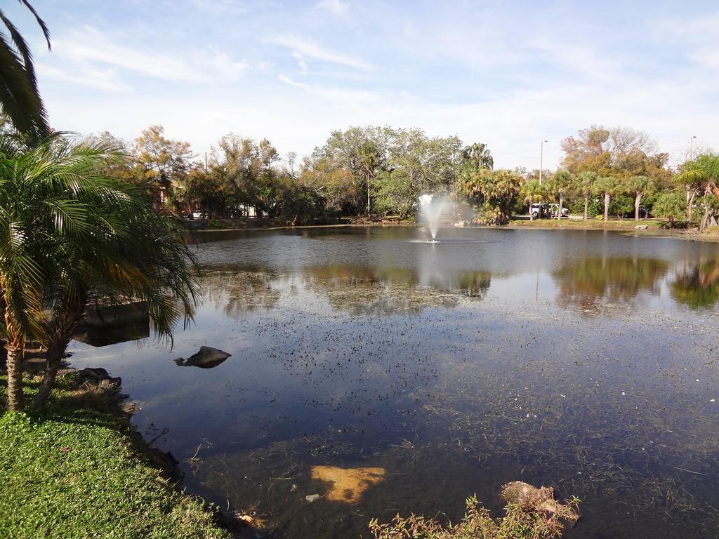 Econo Lodge Airport - Rj Stadium Tampa Exterior photo